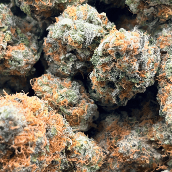 LA Platinum – Craft Cannabis (1/4 LB – 1 LB) - Image 5