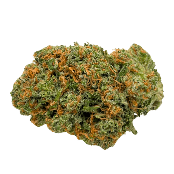 Alien Gorilla