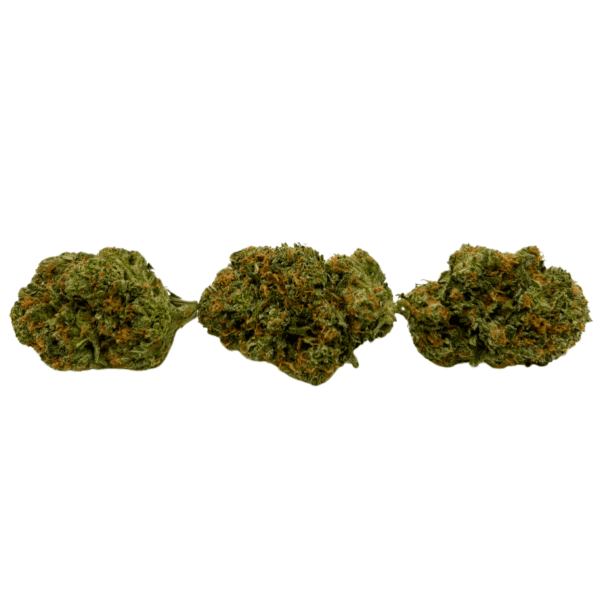Alien Gorilla - Image 2