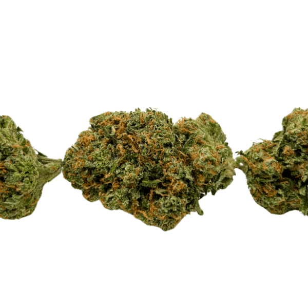Alien Gorilla - Image 3