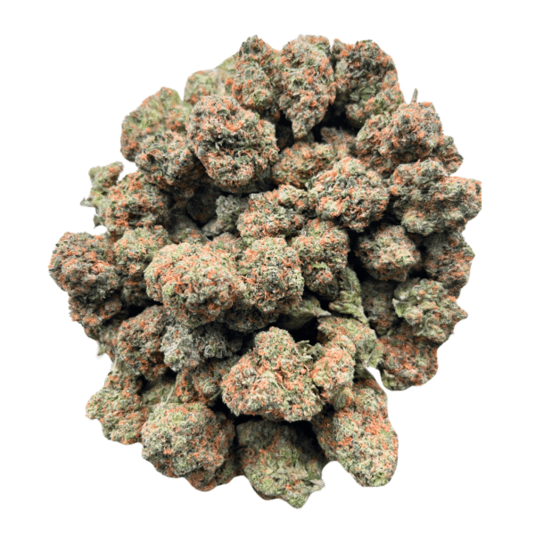 Alien Gorilla - Image 4