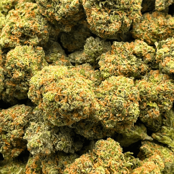Alien Gorilla - Image 5