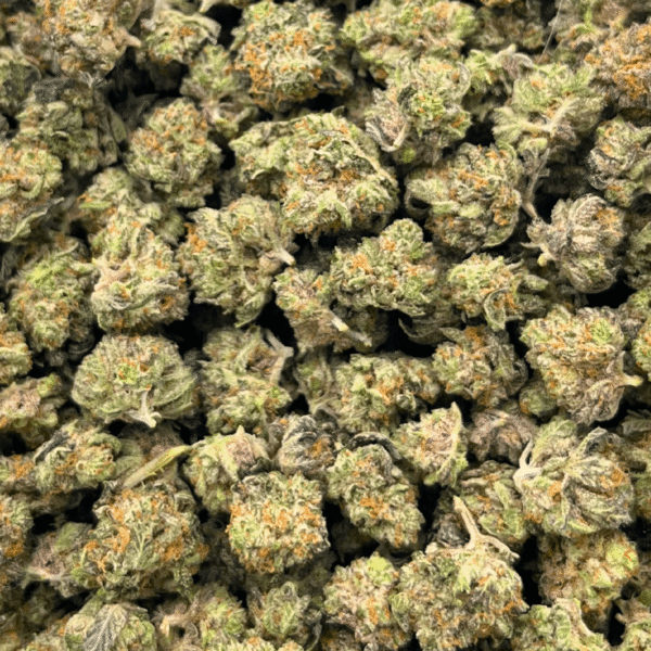 Gelato Cookies – Popcorn (1/4 LB – 2 LB) - Image 4