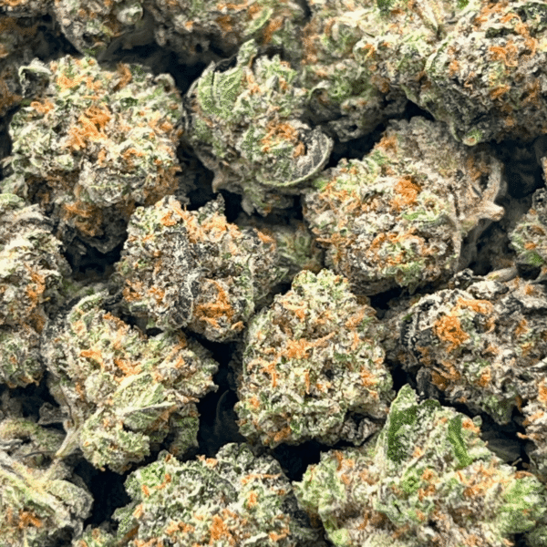 Gelato Cookies – Popcorn (1/4 LB – 2 LB) - Image 5