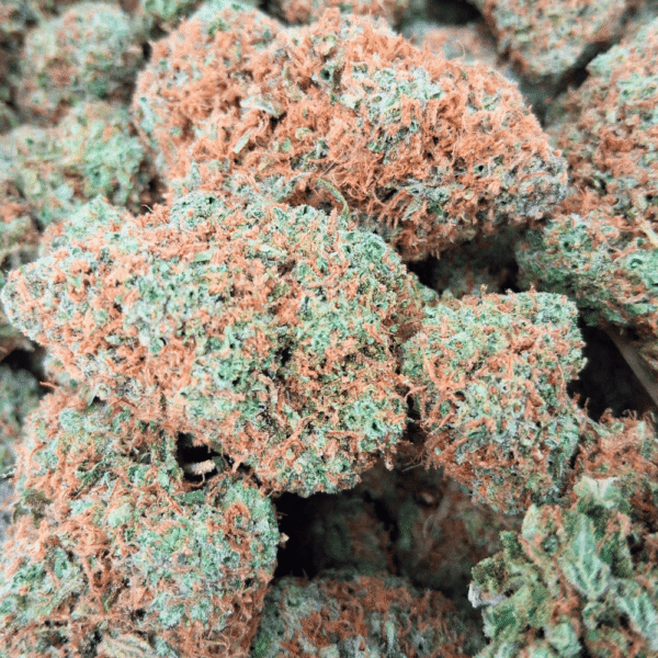 Gorilla Glue (1/4 LB – 2 LB) - Image 5