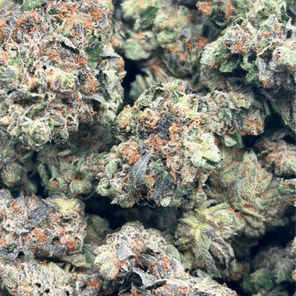 Island Pink – (1/4 LB – 2 LB) - Image 5