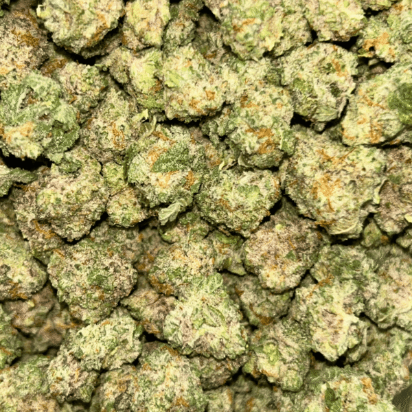 Miracle Alien Cookies – Popcorn - Image 5