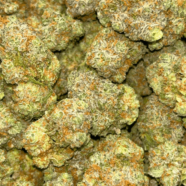 Master Kush - Image 5