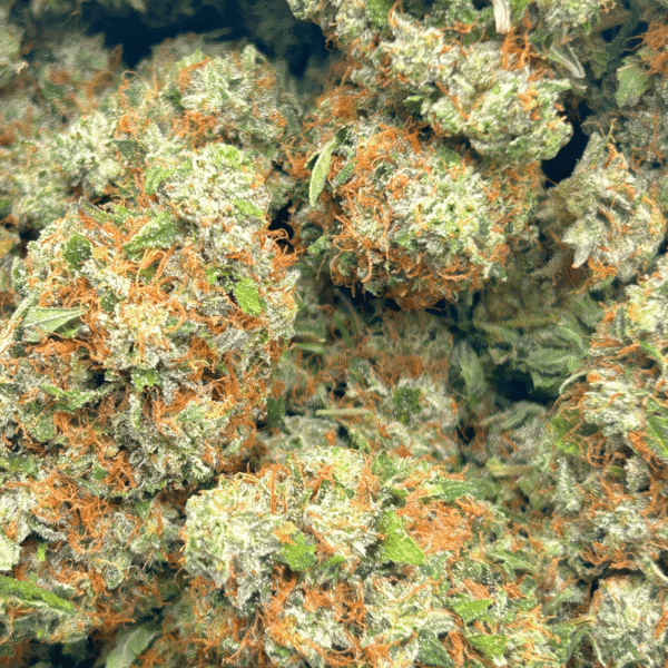 Pink Gas –  (1/4 LB – 2 LB) - Image 5