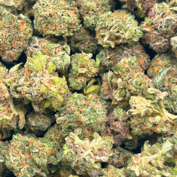 Rainbow Sherbert – Popcorn (1/4 LB – 2 LB) - Image 4