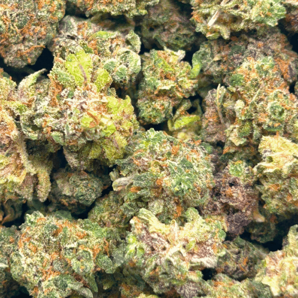 Rainbow Sherbert – Popcorn (1/4 LB – 2 LB) - Image 5