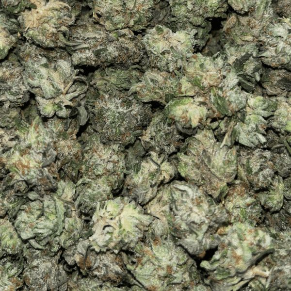 Rockstar Kush for sale - Image 3