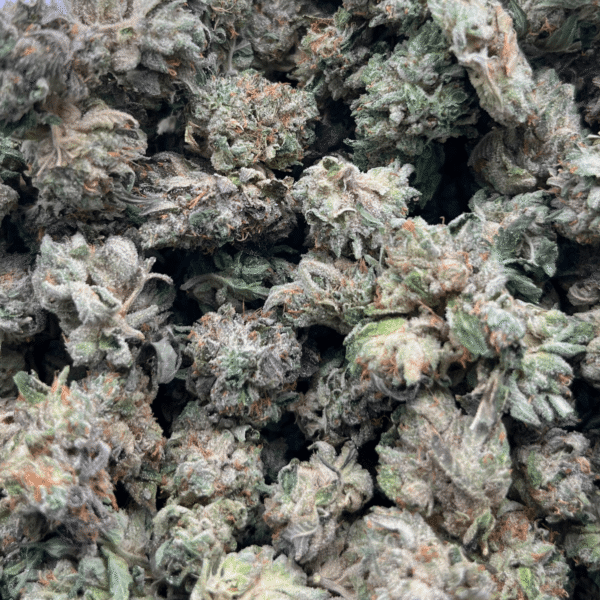 Rockstar Kush for sale - Image 5