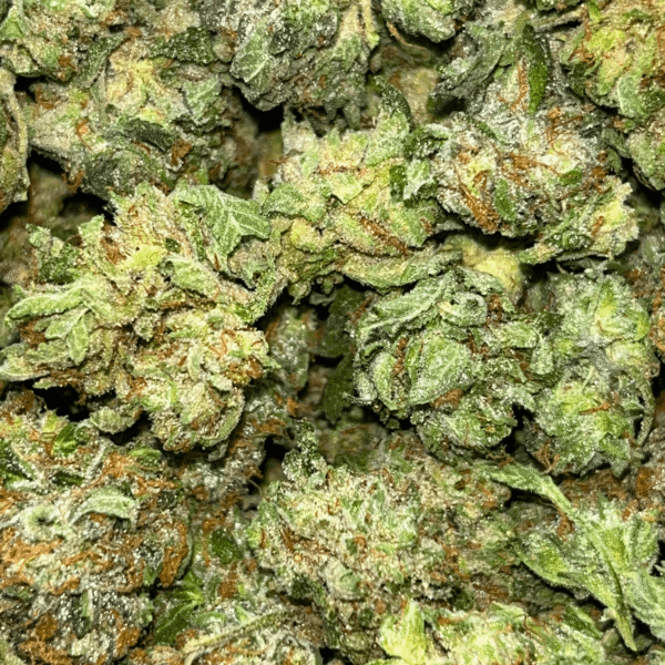 San Fernando Valley OG – Popcorn (1/4 LB – 2 LB) - Image 4