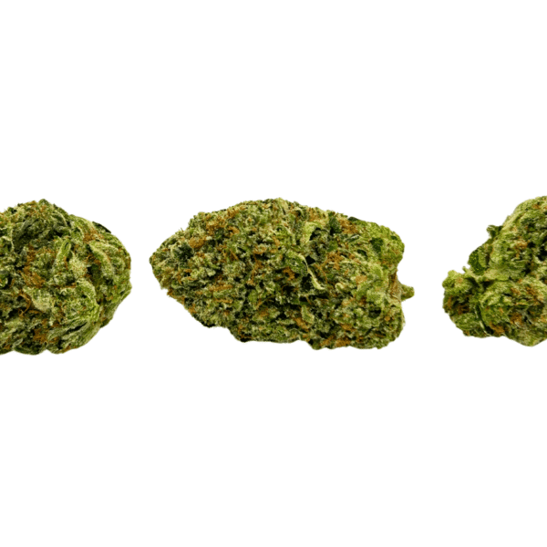 Tuna Kush - Image 3