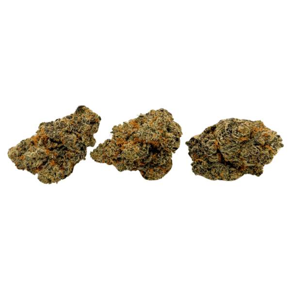 White Truffle - Image 2