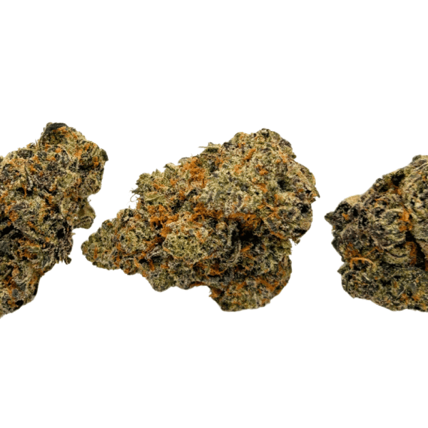 White Truffle - Image 3