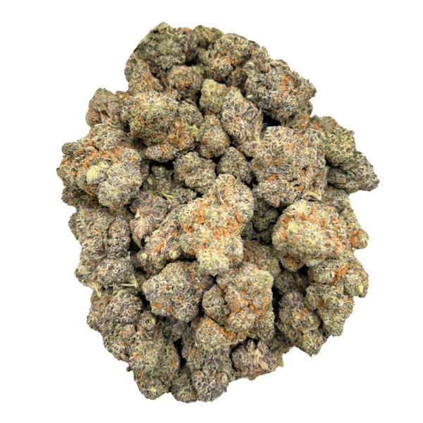 White Truffle - Image 4