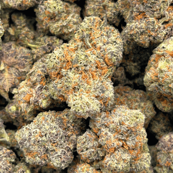 White Truffle - Image 5